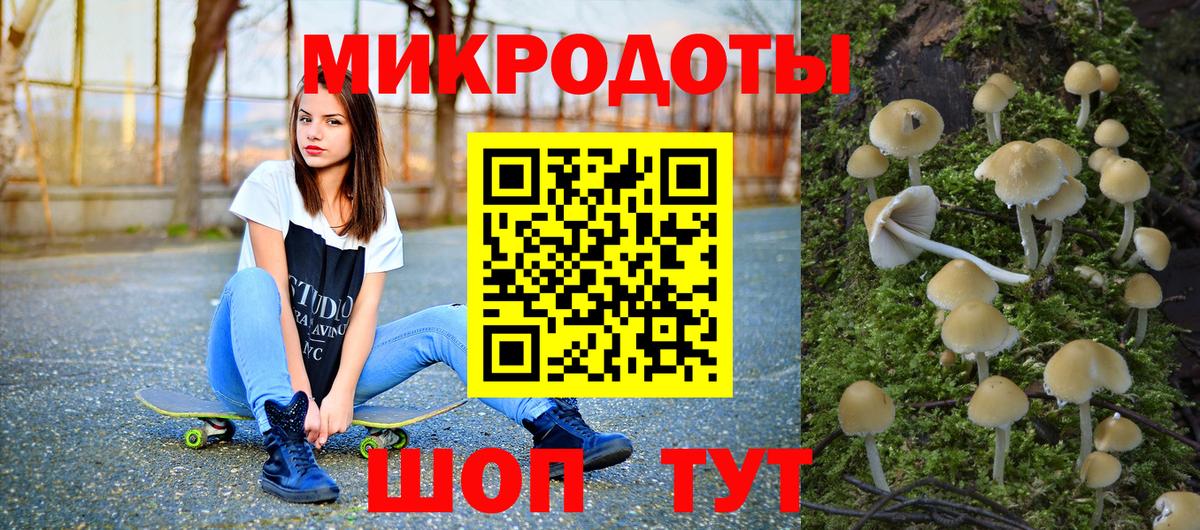 Галлюциногенные грибы Cubensis Шадринск